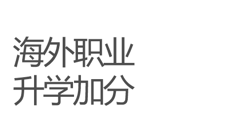 海外职业升学加分字样